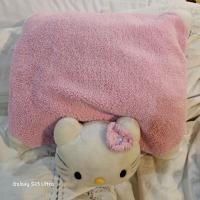 ราคา หมอนคิตตี้ หมอนหนุนเฮลโลคิตตี้ hello kitty ของแท้ (22639091051)