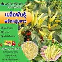 ราคา 100เมล็ดเมล็ดพันธุ์พริกหนุ่มขาว เมล็ดพริกหนุ่มขาว เมล็ดพริกขาว ปลูกง่าย โตเร็ว ผลผลิตสูง (28086026897)