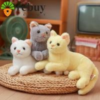 ราคา ซื้อซ้ํา จําลองแมวของเล่นตุ๊กตาของขวัญวันเกิดสําหรับเด็กลูกแมวหมอนโซฟาเบาะตกแต่งบ้านนุ่มนอนของเล่นตุ๊กตา (48051399800)