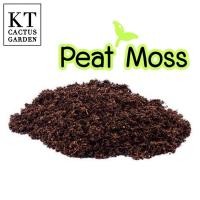 ราคา ดินพีทมอส (ขนาด 500g.) สำหรับเพาะเมล็ด Peat Moss (8461874424)