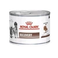 ราคา Royal Canin Recovery อาหารสำหรับสุนัข-แมว ป่วยหรือพักฟื้น **ตำหนิบุบ** (11396065336)