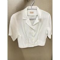 ราคา เสื้อครอปสีขาว แขนสั้น (19321839092)