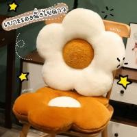 ราคา เบาะรองนั่ง รูปไข่ดาว ขนนุ่ม มินิมอล ตกแต่งบ้าน ขนาด 50×50 cm (19202555964)