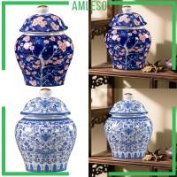 ราคา [แอมเลโซ] โถขิงทําจากเครื่องลายครามจีน, ชา, โถเซรามิกปิดผนึก, แจกันตกแต่งสําหรับใช้ในร่ม, งานแต่งงาน, ขนมหวาน, ถั่ว, ชาหลวม (50703542267)