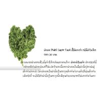 ราคา เมล็ดพันธ์ุ Kale เคล อาหาร Superfood เมล็ดพันธ์ุผัก เมล็ดพันธ์ุ (2872450433)