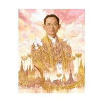 ราคา PINN SHOP ชุดปักครอสติช : พระภัทรมหาราช ภาพกลาง [GO-025] (56757676584)
