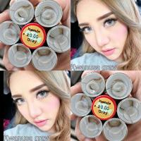 ราคา คอนแทคเลนส์ บิ๊กอาย รุ่น Kwanusa สีเทา/ตาลGray/Brown (48250361692)