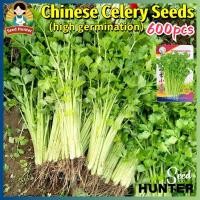 ราคา เมล็ดพันธุ์ ขึ้นฉ่าย เมล็ดคื่นฉ่าย Chinese Celery Seeds 600เมล็ด เมล็ดพันธุ์ผัก ผักสวนครัว ผักออร์แกนิก ปลูกผัก สวนครัว (24494191736)
