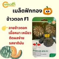 ราคา เมล็ดฟักทอง ข้าวตอก 573 F1 (ซองแข็ง) ตราศรแดง (22755105418)