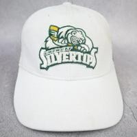 ราคา หมวกแก๊ปทีม Everett Silvertips Tag Reebok (42270105430)