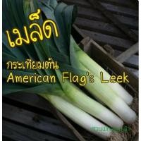 ราคา เมล็ด กระเทียมต้น 50 เมล็ด10บาทAmerican Flag's Leek เมล็ดพันธุ์แท้100% (8240238712)