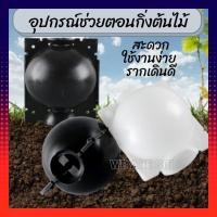 ราคา อุปกรณ์ตอนกิ่งต้นไม้ ตอนกิ่ง ตุ้มตอนกิ่ง ที่ตอนกิ่ง ต้นไม้ กิ่งต้นไม้ (3196068411)