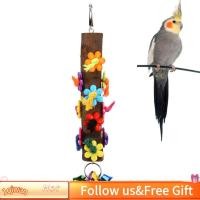 ราคา 1qiwan-th ไฟส่องมุมนกสำหรับนกกระตั้ว Eclectus Macaws (51507175978)