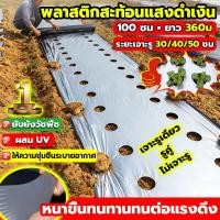 ราคา พลาสติกคลุมดิน 1ม.x400หลา(360ม) เจาะรูเดี่ยว 1แถว ผ้ายางคลุมดิน ผ้ายางคลุมวัชพืช ผ้ายางคลุมแปลงผัก (55404288338)