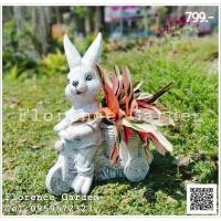 ราคา พร้อมส่ง กระถางBike Bunny "กระถางกระต่าย ปั่นสามล้อ" ปูนปั้น จัดสวน ประดับสวน แต่งสวน กระถางใส่ต้นไม้ กระถาง ต้นไม้ (10590991090)