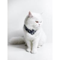 ราคา ผ้าพันคอน้องหมาน้องแมว Blue Dior Scarf 8xLT (11612194535)
