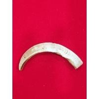 ราคา เขี้ยวหมูตันของแท้หายาก (55856279702)