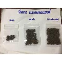 ราคา เมล็ดพันธ์มะละกอฮอลแลนด์แท้ คัดพิเศษ (7205925214)