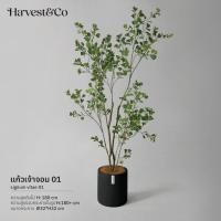 ราคา ต้นแก้วเจ้าจอม (01) | ต้นไม้ประดิษฐ์เสมือนจริง 180 cm (28031646666)