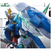 ราคา PG 1/60 OO Raiser [TT] (2772115246)