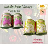 ราคา เมล็ดมะเขือไข่เต่าม่วง-มะเขือไข่เต่าขาว ขนาด 40 กรัม (26804941064)