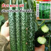 ราคา [ซื้อ 5 แถม 5 ฟรี]! เมล็ดแตงกวาญี่ปุ่น 60เมล็ด Cucumber ปลูกง่าย อัตรางอกสูง ผลผลิตสูง เมล็ดแตงกวา เมล็ดพันธุ์ผัก (48550012704)