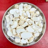 ราคา เจียกป๋วยบ้อ 100 กรัม (浙贝母 100g) เจ้อเป้ยหมู่ Zhe Bei Mu 浙贝 大贝 Bulbus Fritillariae Thunbergii 浙貝 เจียกป๊วยบ้อ สมุนไพรจีน (20484788450)