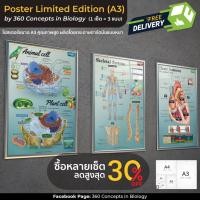 ราคา [Set] Poster limited Ed. (A3) (1 Set = 3 แผ่น) l โปสเตอร์ชีววิทยา l Cell Structure, Skeletal System และ Heart Anatomy (18671855103)