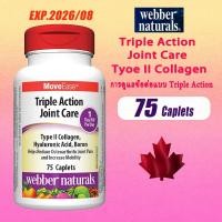 ราคา webber naturals Triple Action Joint Care 75 caplets การดูแลข้อต่อแบบ Triple Action (29105874073)
