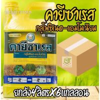 ราคา /ยกลัง6แกลลอน/ คายีซาเรส (กลูโฟซิเนต-แอมโมเนียม) 4,000 ml. ยาฆ่าหญ้า แบบเผาไหม้ บริษัท ตราหวีทอง (24582844882)