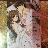 ราคา Hi Destiny สะดุดรักผิดสเป็ค [มือสอง] (4241586525)