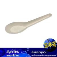 ราคา ไบโอ ช้อนสั้น 100 ชิ้น เฟสท์ Fest Bio Short Spoon (25066254711)