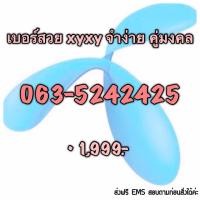 ราคา เบอร์สวย จำง่าย เลขดี (691205172)