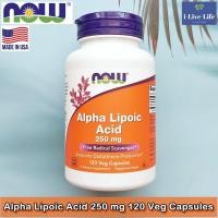 ราคา กรดอัลฟาไลโปอิค Alpha Lipoic Acid 250 mg 120 Veg Capsules - Now Foods #ALA (7879238087)