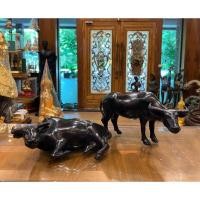 ราคา รูปปั้นควายยืน ควายนอน งานทองเหลือง (ทำสีรมดำ) งานสวย คงทน (25313235021)