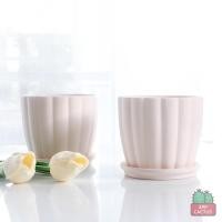 ราคา กระถางเซรามิก ดินเผา ทรงฟักทอง พร้อมจานรอง 4 นิ้ว สีธรรมชาติ เซรามิค กระถางต้นไม้ สไตส์มินิมอล สไตล์โมเดิร์น (14115850011)