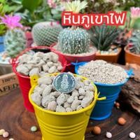 ราคา หินภูเขาไฟ หินพัมมิส (Pumice) จาก LOMBOK อินโดนีเซีย 1 กิโลกรัม (22286031429)