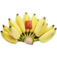 ราคา กล้วยน้ำว้า Namwa Banana [หมายเลขบาร์โค้ด 0000021801051 ] สินค้าคุณภาพดี คัดสรรอย่างตั้งใจ (51658010302)