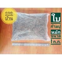 ราคา ใบก้ามปูหมัก ขนาด 1 กิโลกรัม ใบก้ามปูหมักจุลินทรีย์ ใบก้ามปูหมักหยาบ (21589220518)