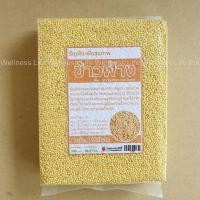 ราคา ข้าวฟ่าง ขนาด 500 กรัม ธัญพืช Millet Grass Seed (28991932967)