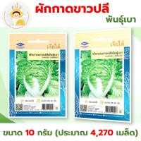ราคา เมล็ดพันธุ์ ผักกาดขาวปลี พันธุ์เบา (Chinese Cabbage) ผักซอง เจียไต๋ OP ขนาด 10 กรัม (ประมาณ 4,270 เมล็ด) (28985839831)