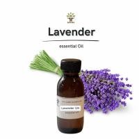 ราคา น้ำมันหอมระเหย ลาเวนเดอร์ Essential Oil Lavender UK ใช้หยดตะเกียง ผสมทำสบู่ โลชั่น สเปร์ย เทียนหอม (7862972954)