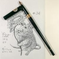 ราคา #034 Pilot 14K Gold EF Nib Fountain Pen : ปากกาหมึกซึม Pilot หัวทอง 14K ขนาด EF (4924492421)