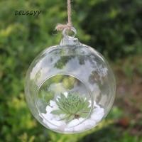 ราคา DELGGYY แจกันแก้วแขวน, แก้ว Borosilicate ใสแขวน Tealight Holder, เชิงเทียนแก้ว Ball โปร่งใส 6/8/10/12/15 ซม.Succulents พืช Ball คอนเทนเนอร์เชิงเทียน (56157886762)