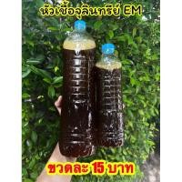 ราคา หัวเชื้อจุลินทรีย์EM เข้มข้น 1.5 ลิตร เกษตร สวน ปรับสภาพน้ำ อามิ น้ำเขียว จุลินทรีย์สังเคราะห์แสง ต้นไม้ พลั่ว (28784456151)