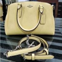 ราคา กระเป๋า Coach #F28977แท้%mini sage carryall (23306364610)