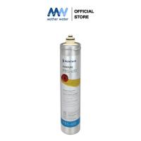 ราคา Mother Water ไส้กรองน้ำดื่ม PENTAIR รุ่น PBS-400 Cartridge (สำหรับเครื่องกรองน้ำดื่มรุ่น PBS-400) (27974610407)
