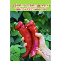 ราคา เมล็ดพริกเกาหลีพริกแดงพริกทำกิมจิเกาหลีพริกเผ็ดเกาหลีเมล็ดแท้พันธุ์นำเข้าบรรจุ 200-300เมล็ด (14022209620)