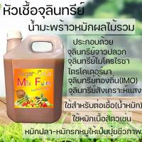 ราคา น้ำมะพร้าวหมักผลไม้รวม ขนาด5ล. หัวเชื้อ จุลินทรีย์ ชีวภาพ ต่อเชื้อน้ำหมัก เร่งย่อย เร่งยอด เปิดตาดอก ปุ๋ย ปุ๋ยน้ำ ชีวภาพ (15042739986)