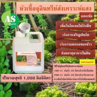 ราคา จุลินทรีย์สังเคราะห์แสง 1,000 มิลลิลิตร (25166998055)